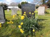 image of grave number 597379